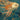 The Golden-Headed Fish