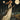 The Triumph of Night