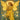 The Yellow Fairy Book